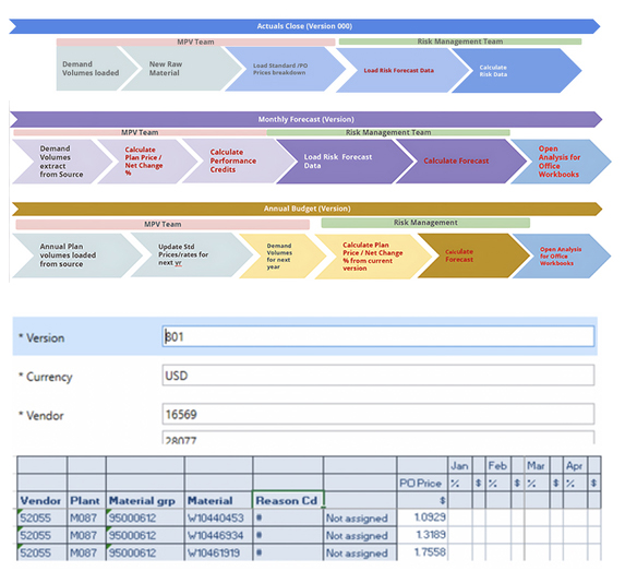 The actuals close, monthly forecast and annual budget process flows, and an Analysis for Office input screen